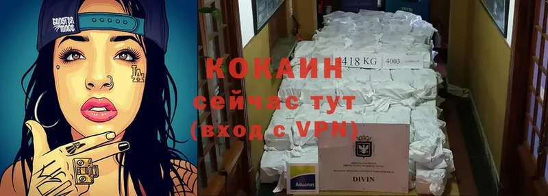 купить закладку  Котельники  Cocaine 98% 